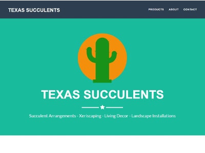 CACTUS website thumbnail image