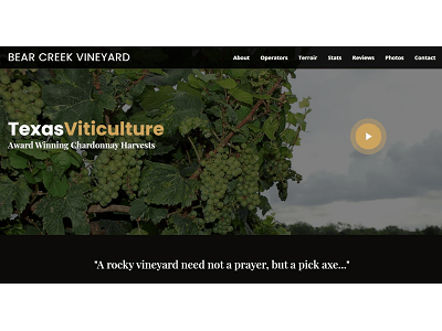 vineyard website thumbnail image