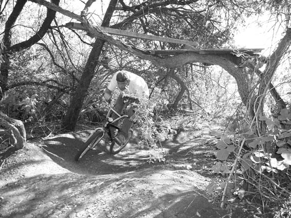 Beer Creek BMX