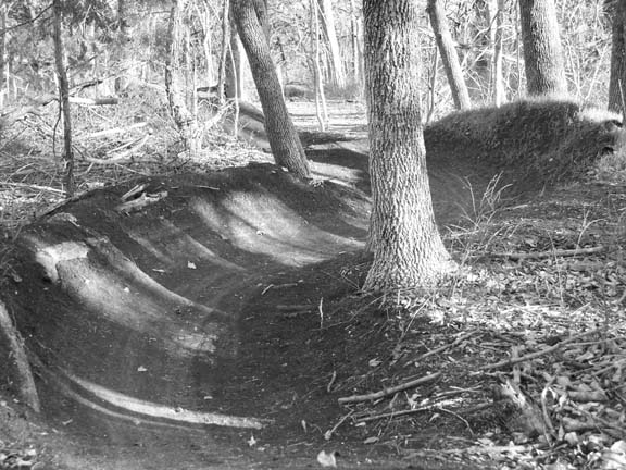 Beer Creek BMX