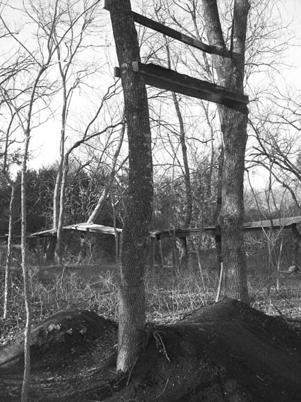 Beer Creek BMX