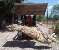 bobcat landscaping services